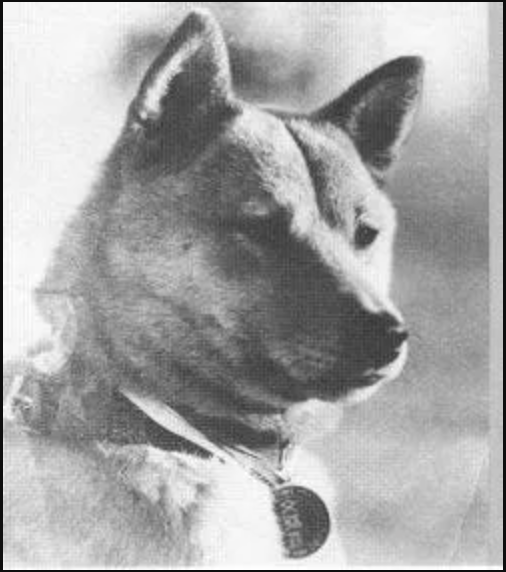 naka